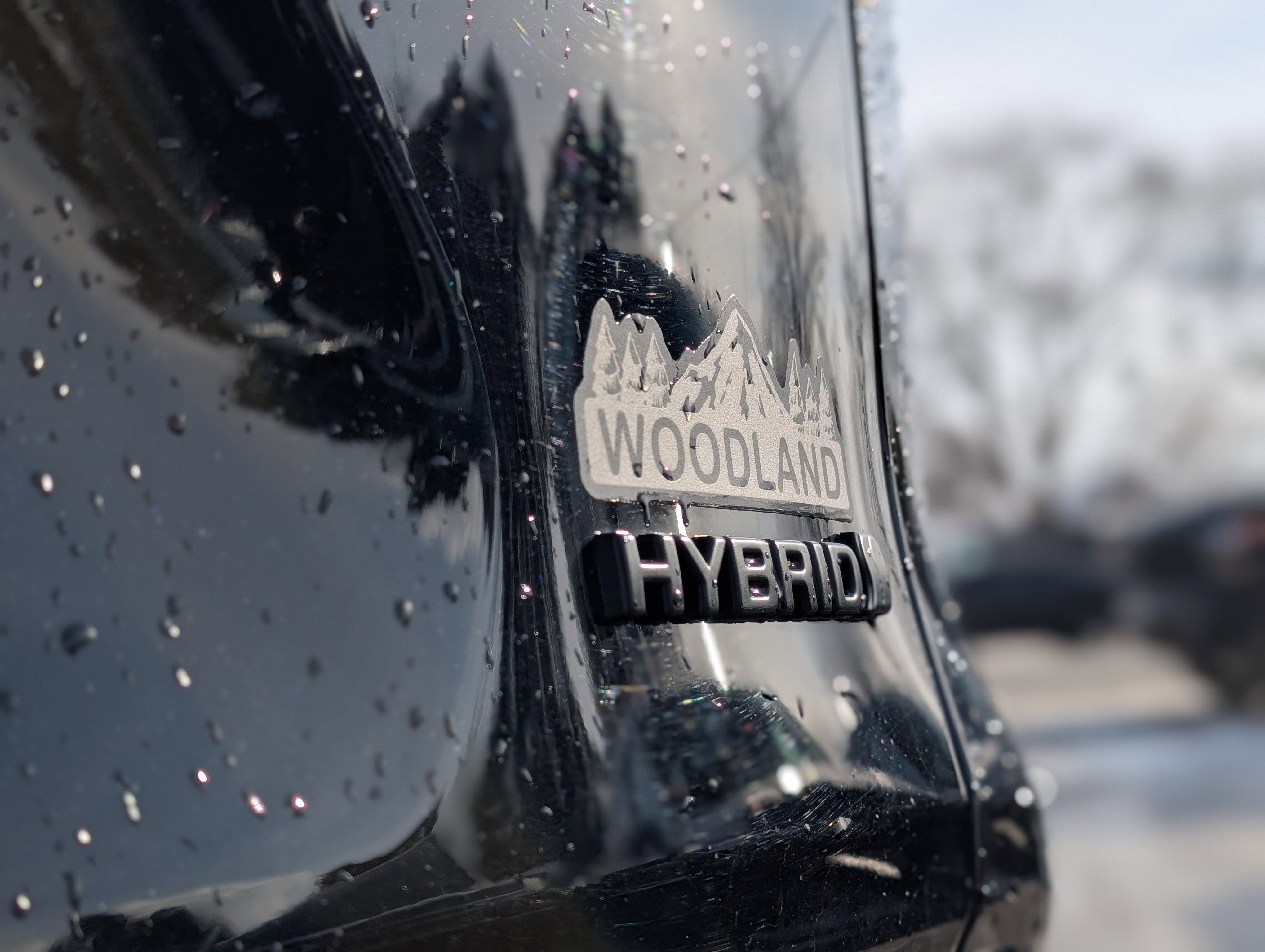 2023 Toyota RAV4 Hybrid Woodland Edition